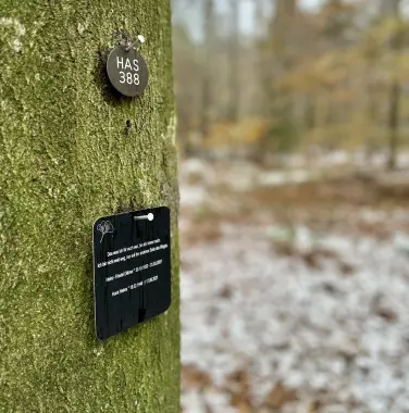 Friedwald Friedwald